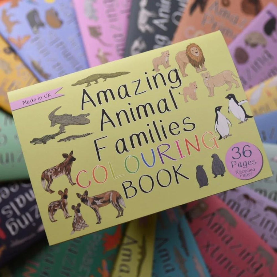 Amazing Animal Families Colouring Book