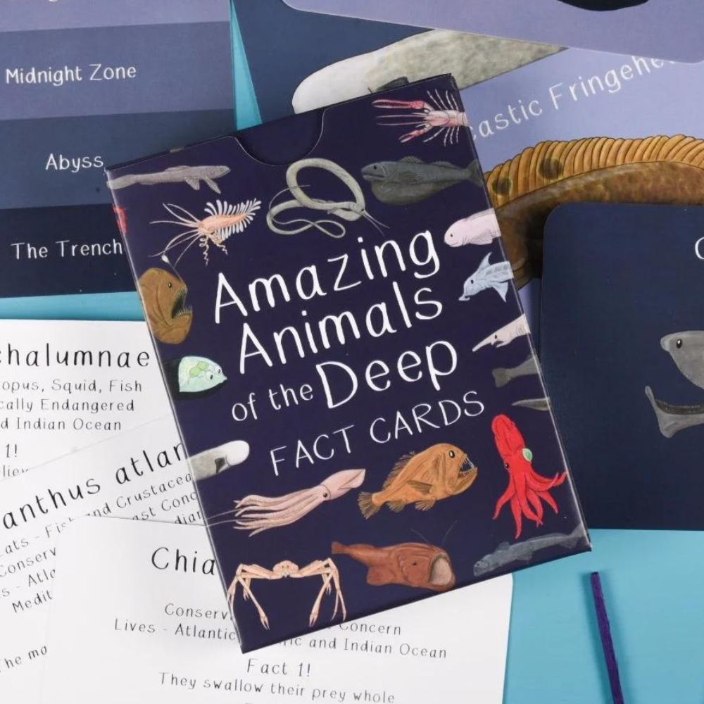 Amazing Animals of the Deep Fact Cards