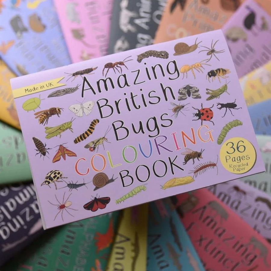 Amazing British Bugs Colouring Book