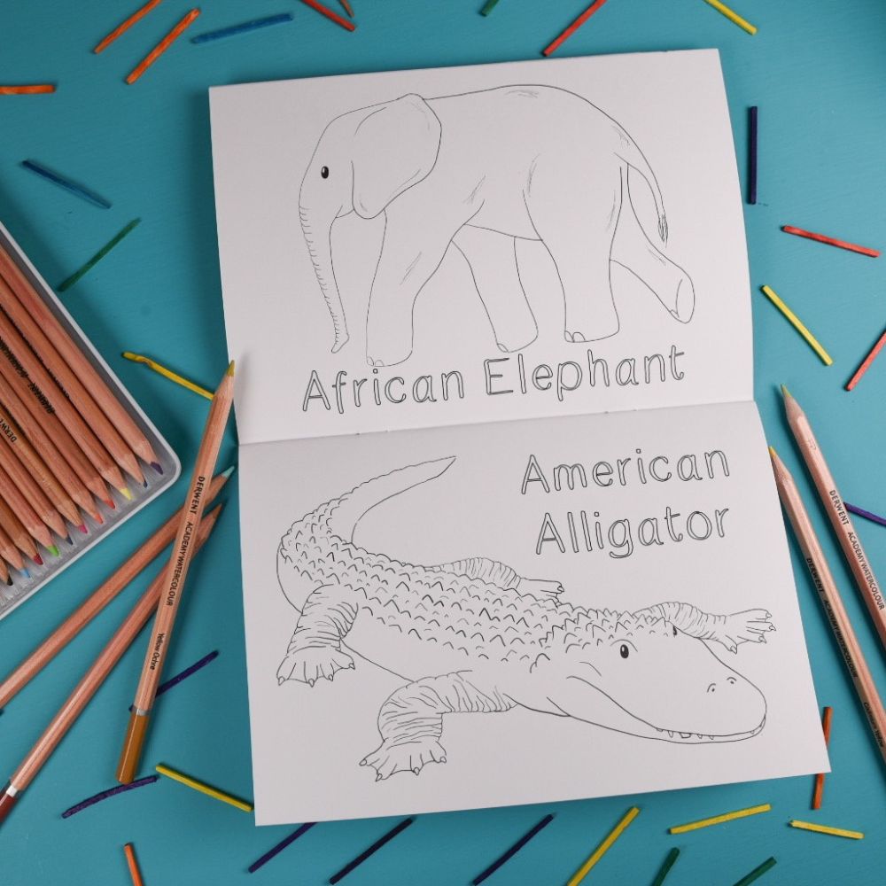 Amazing Animal Families Colouring Book