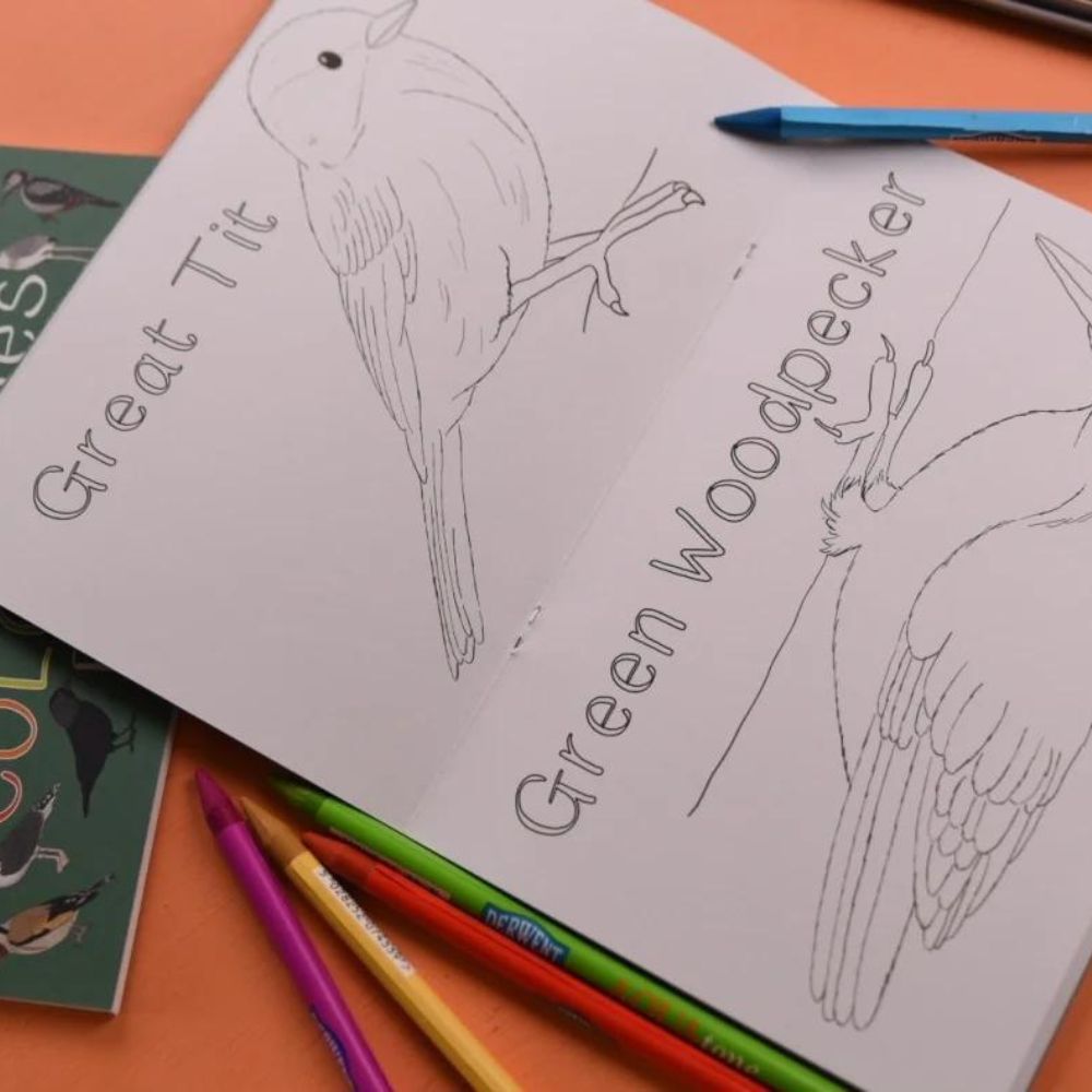 Amazing Birds of the British Isles Colouring Book