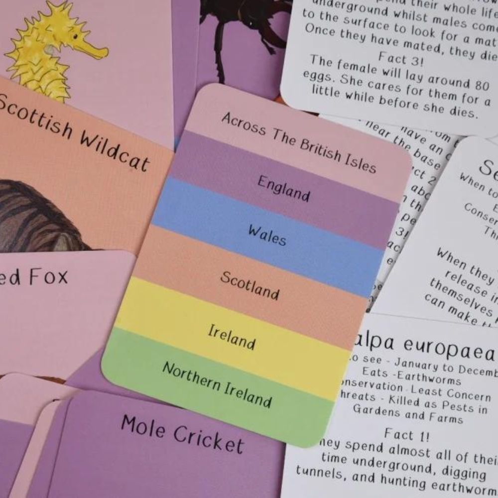 Amazing Animals of the British Isles Fact Cards