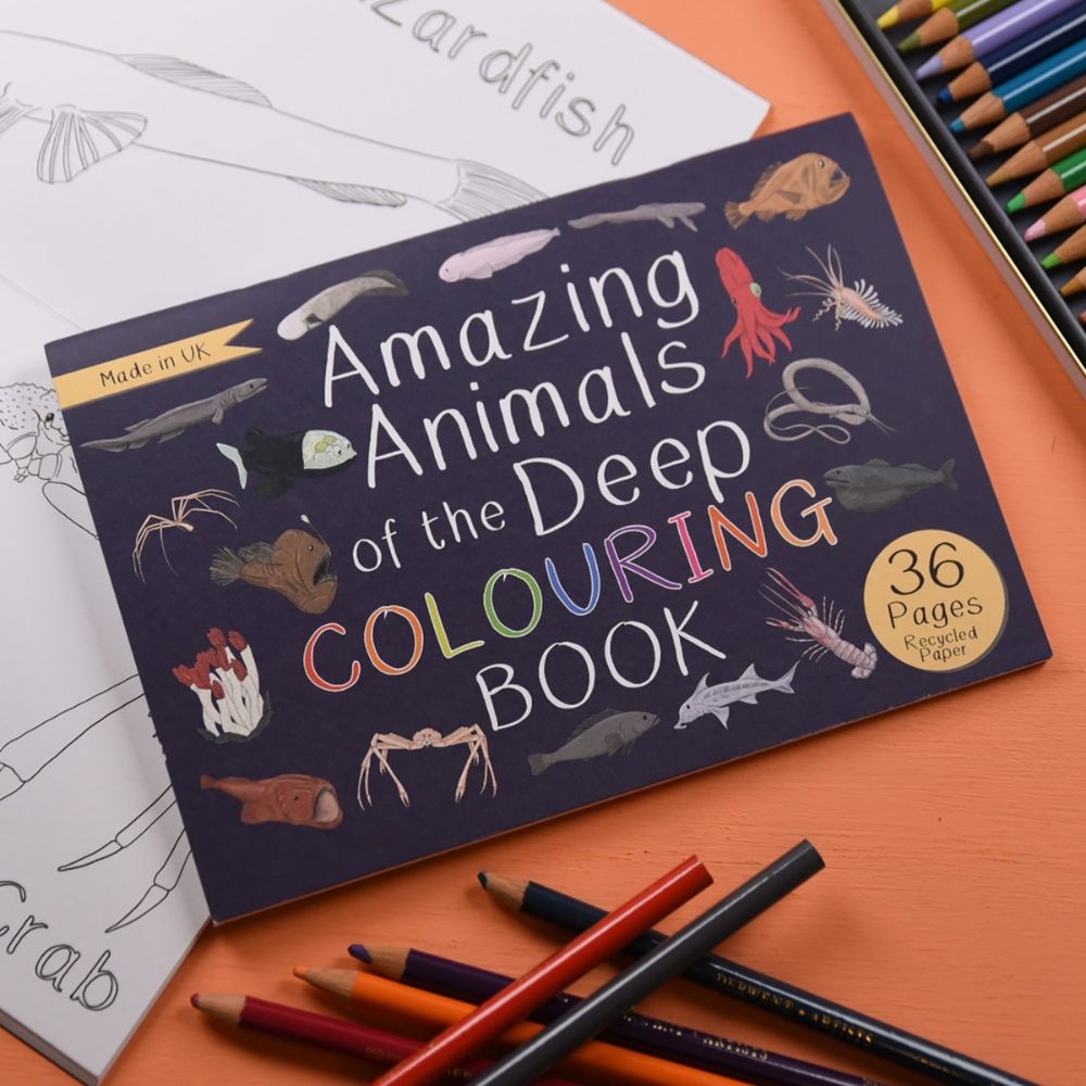 Amazing Animals of the Deep Colouring Book