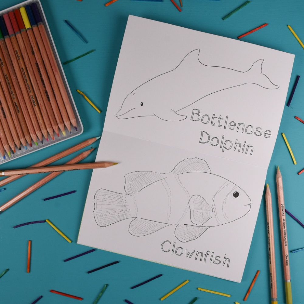 Amazing Animal Families Colouring Book