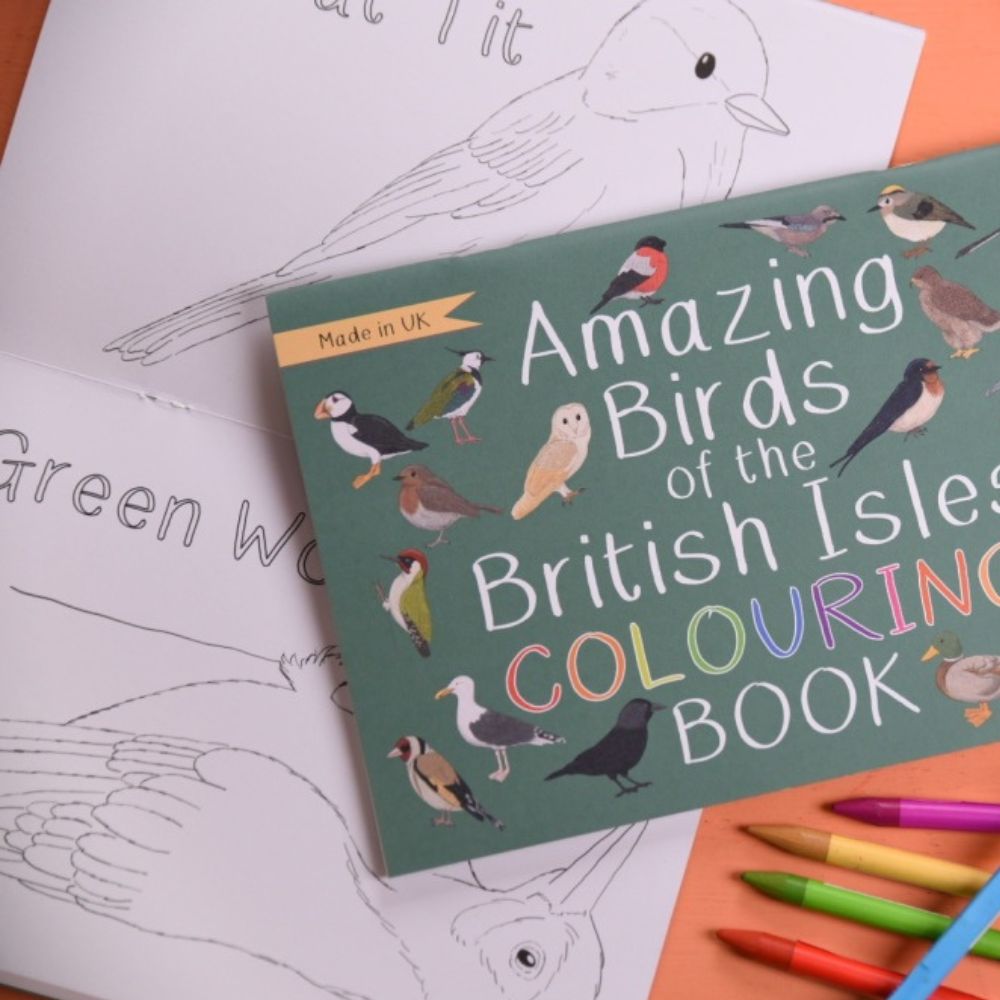 Amazing Birds of the British Isles Colouring Book