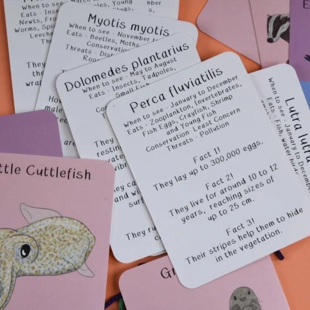 Amazing Animals of the British Isles Fact Cards