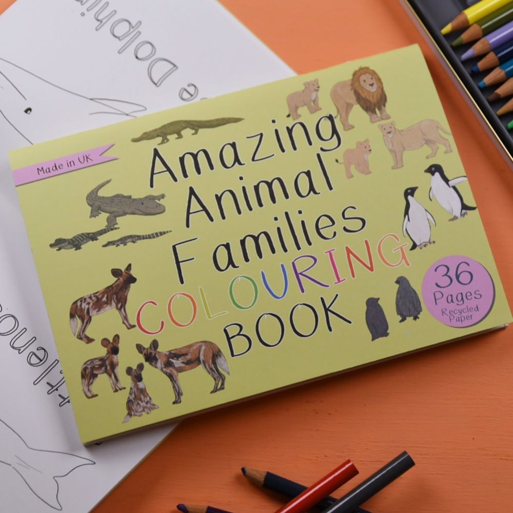 Amazing Animal Families Colouring Book