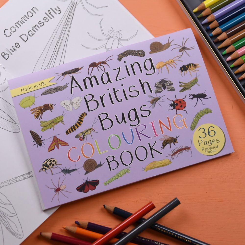 Amazing British Bugs Colouring Book