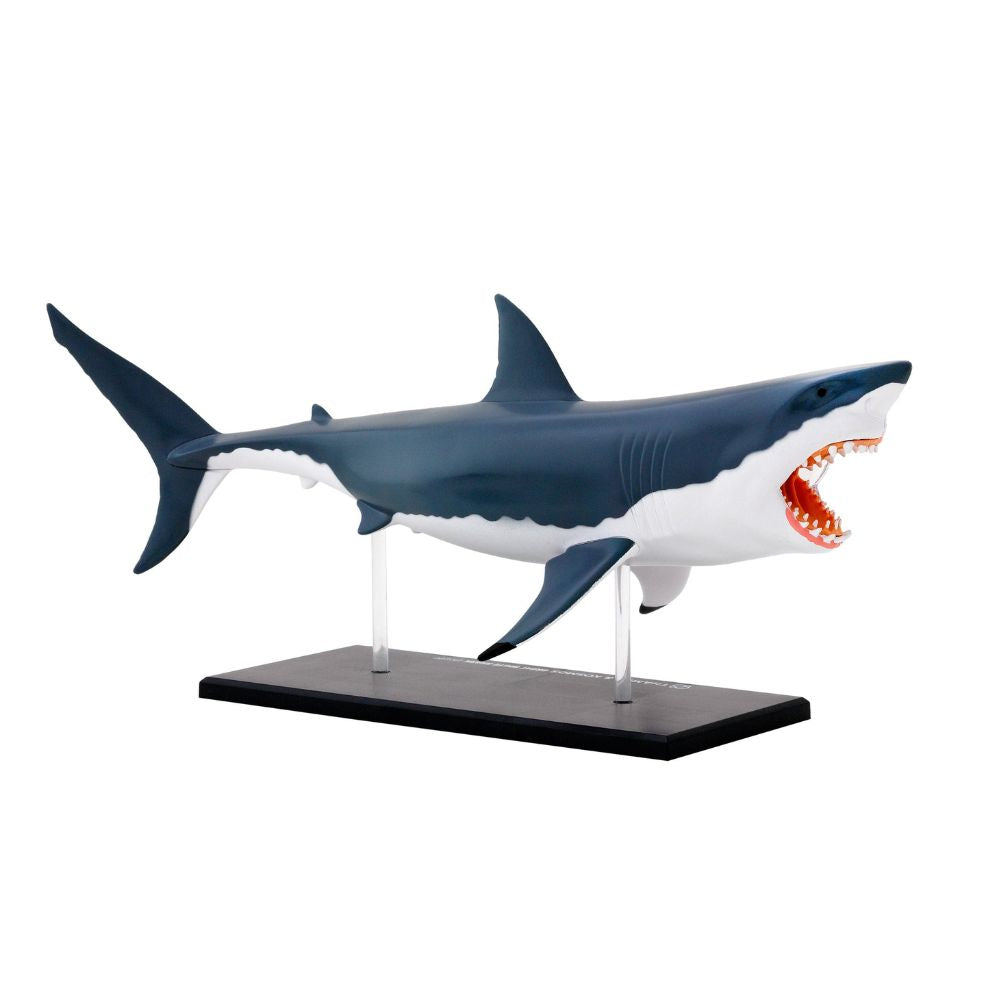 Shark and co toys online